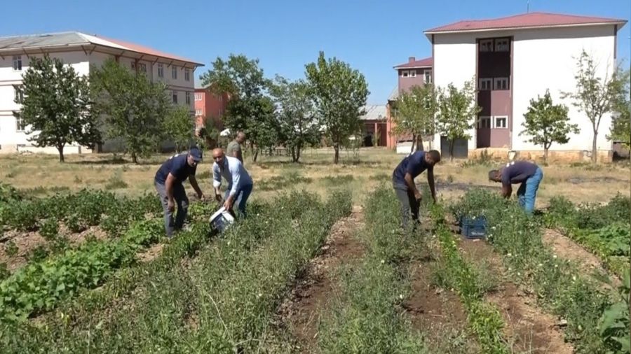 ��renciler, at�l durumdaki alan� tar�ma kazand�rd�