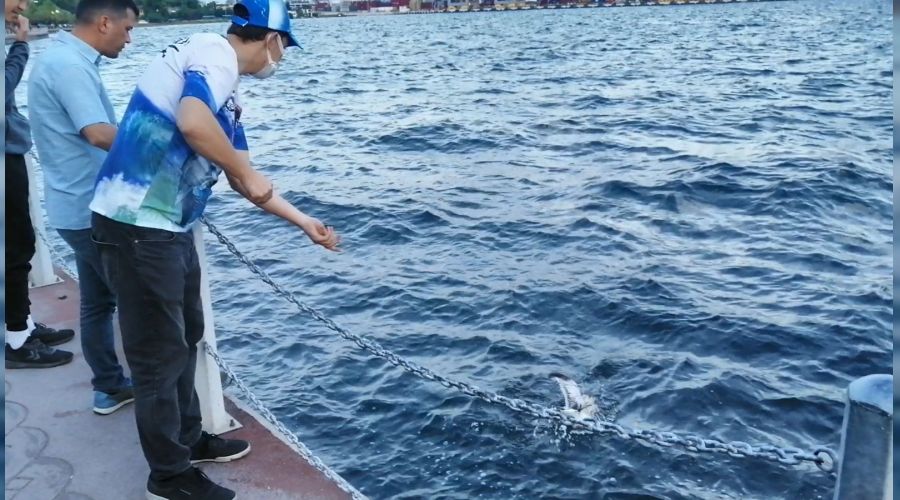 Oltas�na tak�lan� g�r�nce �a��rd�