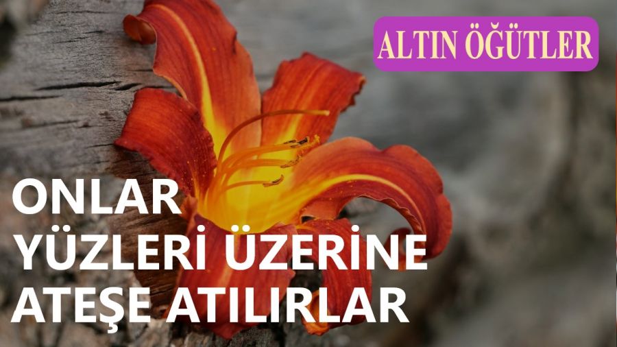 Onlar y�zleri �zerine ate�e at�l�rlar
