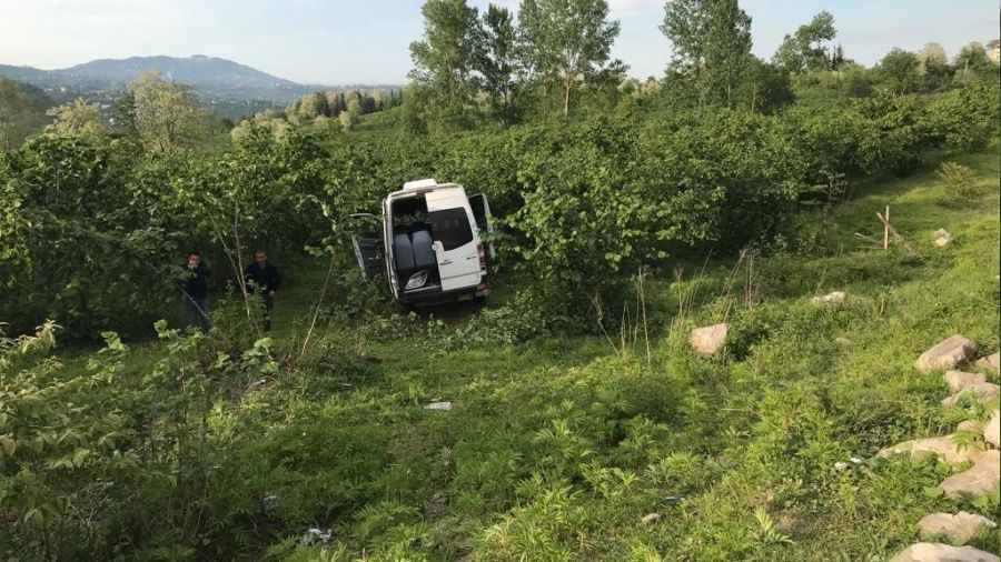 Ordu'da minibüs fındık bahçesine uçtu: 11 yaralı