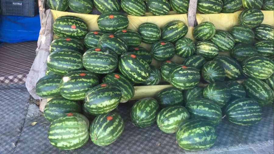 Osmaneli karpuzlar� art�k ay�rt edilebiliyor