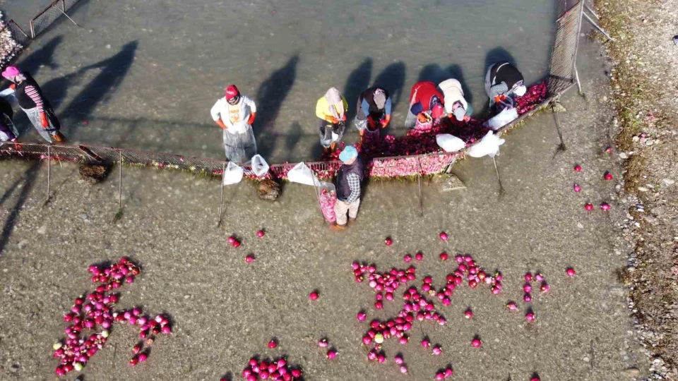 Osmaniye Kadirli'de so�uk suda ekmek m�cadelesi