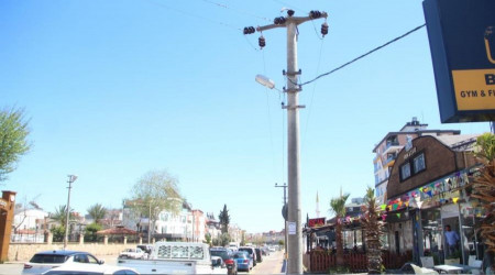 Papağanı kurtarmak isterken kendisi öldü