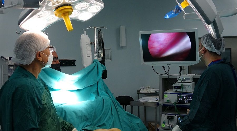 Pektus Fark�ndal�k Haftas�nda; petrus'u tan�mak