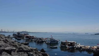 Pendik'te balklara srpriz: Oltaya kpek bal takld