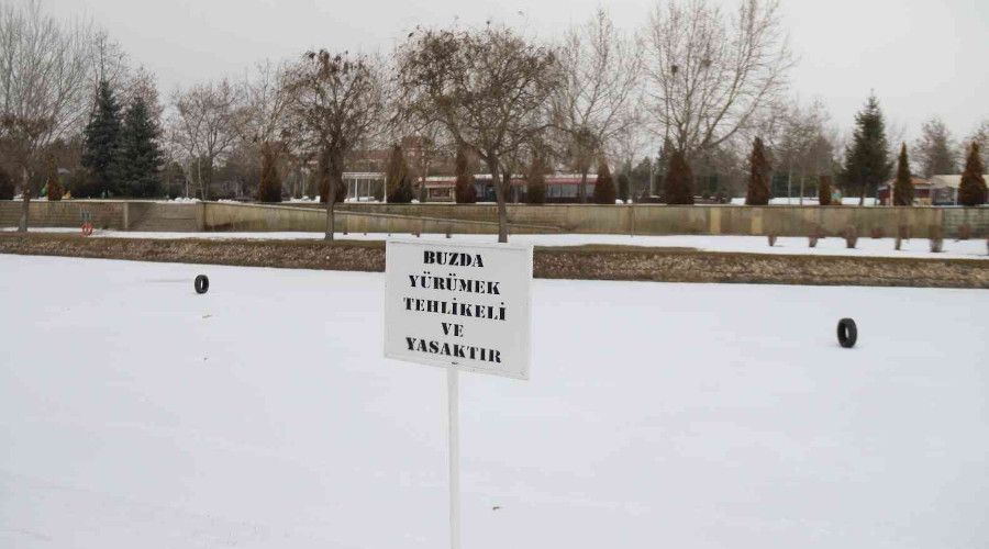 Porsuk'ta ilginç görüntü