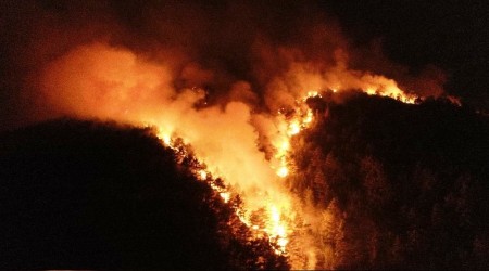 Pozantı'daki orman yangınına müdahale devam ediyor