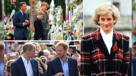 Prens William ve Prens Harry, BBC'yi "anneleri Prenses Diana'nn lmne katk yapmak"la sulad