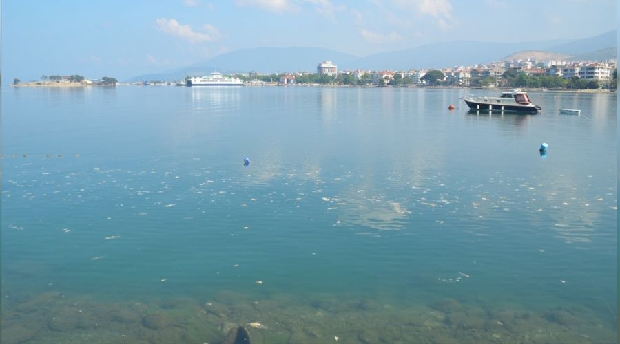 R�zgar deniz salyas�n� da��tt�