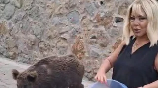 Safiye Soyman domuzu elleriyle besledi