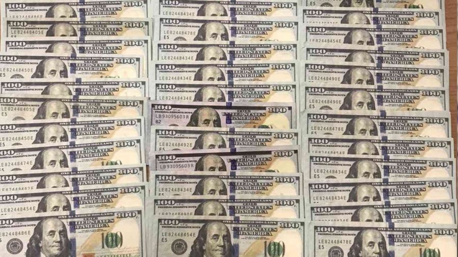 Sahte ABD doları operasyonu:1 tutuklama