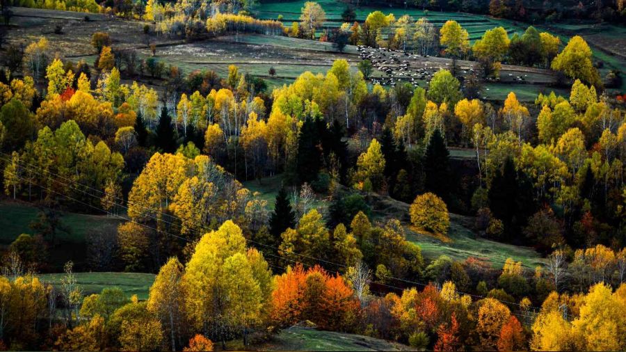 'Sakin �ehir' �av�at'tan Sonbahar manzaralar�