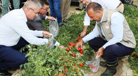 Salça fabrikalarına çağrı