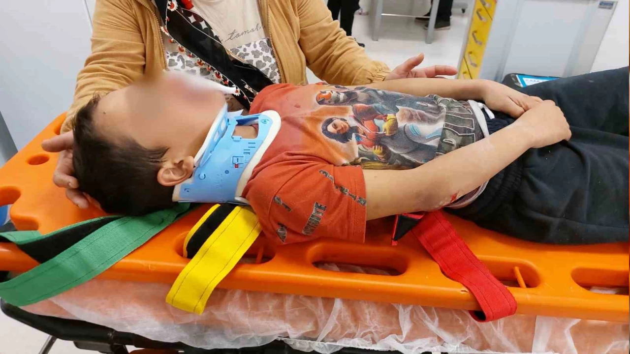 Samsun'da kpekten kaan ocua ara arpt