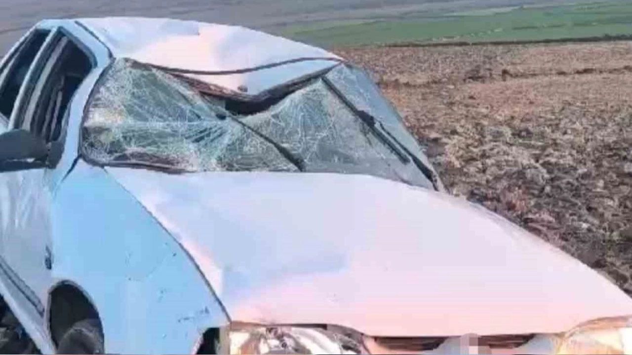 Şanlıurfa'da trafik kazası: 7 yaralı