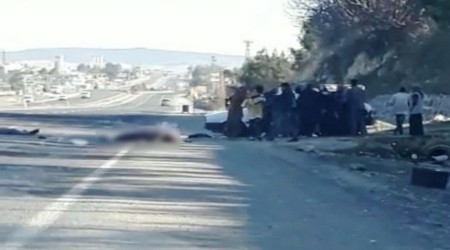 Şanlıurfa'da vahşet