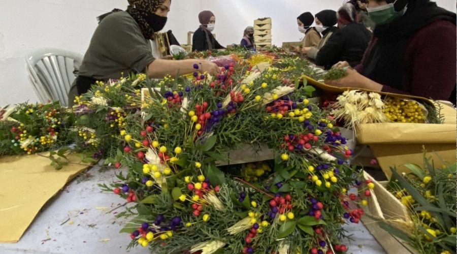 Satamadığı çiçekleri kurutup kapı çelengi yaptı, şimdi ürün yetiştiremiyor