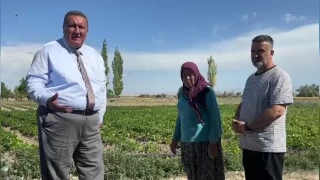 Sebze reticileri dert kp