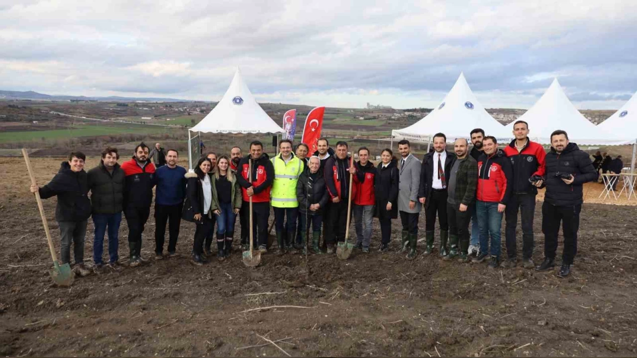 �ehit Ayb�ke ��retmen an�s�na hat�ra orman�