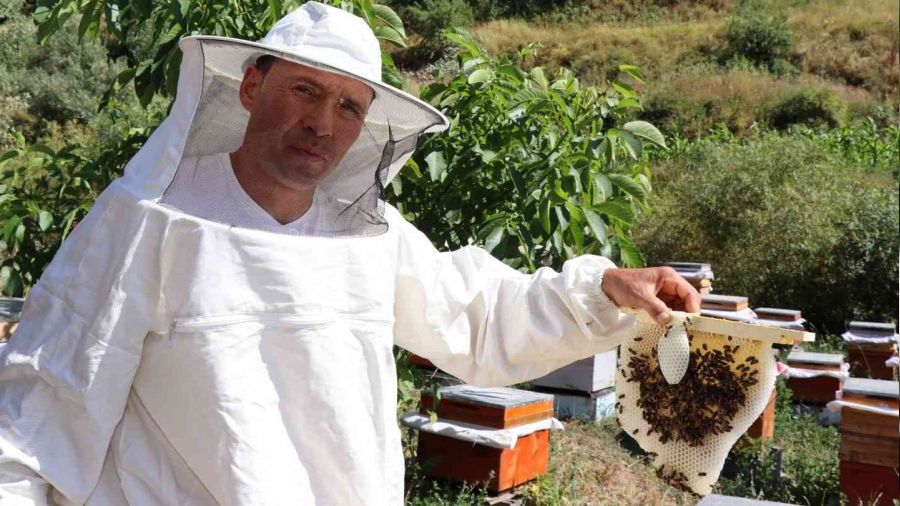 �eker hastalar� i�in bal �retiyor