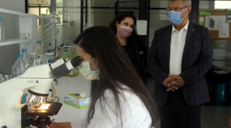 Şekere yerli tohum geliyor