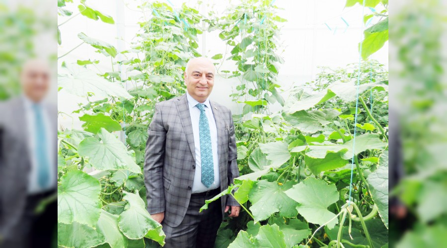 Sera yatrmlar ekspertize taklyor