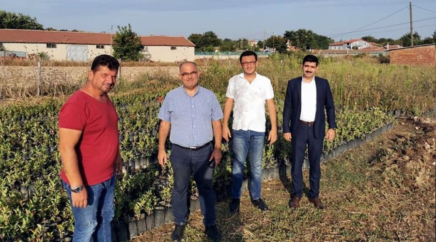 Şifa kaynağı aronya Mudanya'da üretilecek