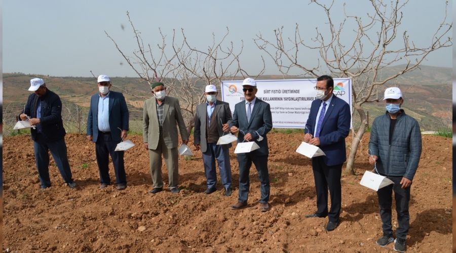 Siirt'te fıstık bahçelerine feromon tuzağı kuruldu