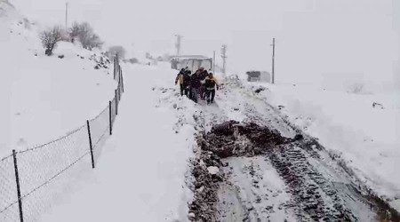 Siirt'te kar yolları kapattı