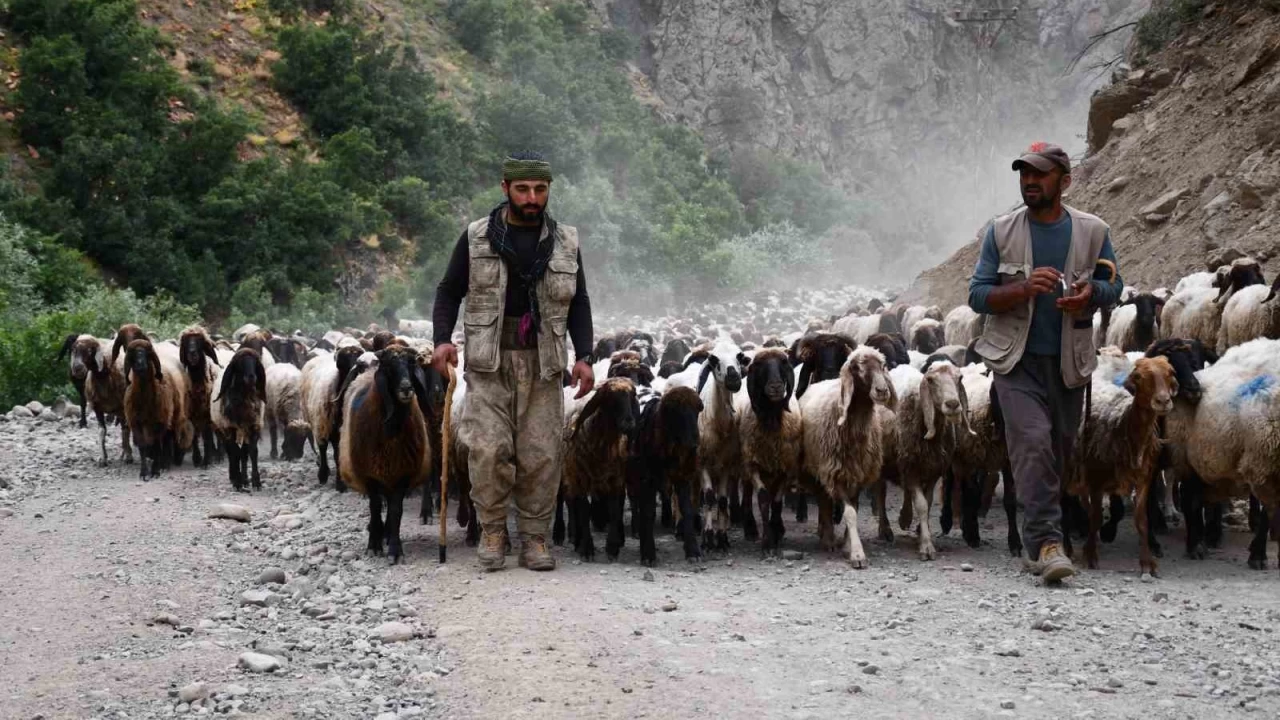Şırnaklı göçerler, 30 günlük yolculuklarını tamamladı