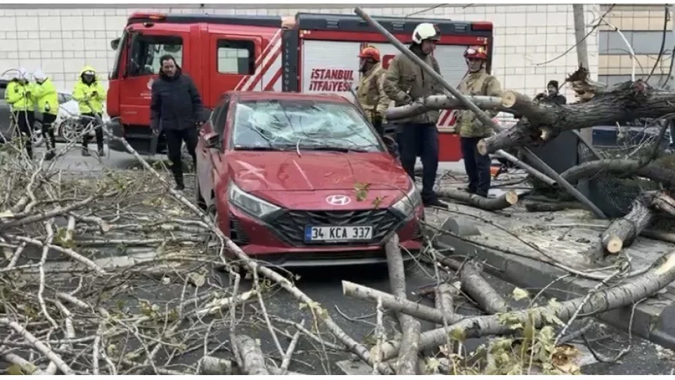 �i�li'de a�a�, park halindeki arac�n �zerine devrildi
