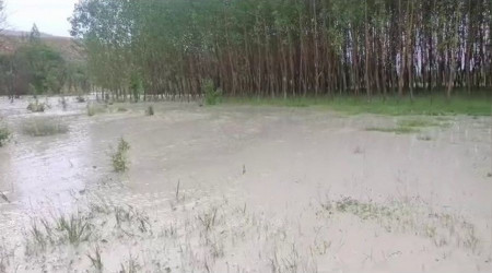 Sivas'ta ekili araziler sular altında kaldı