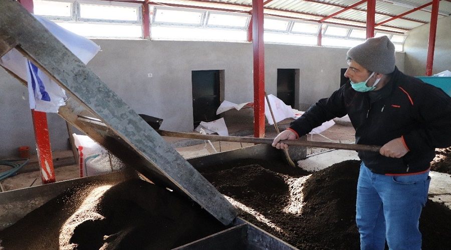 Solucanlarına gözü gibi bakıyor