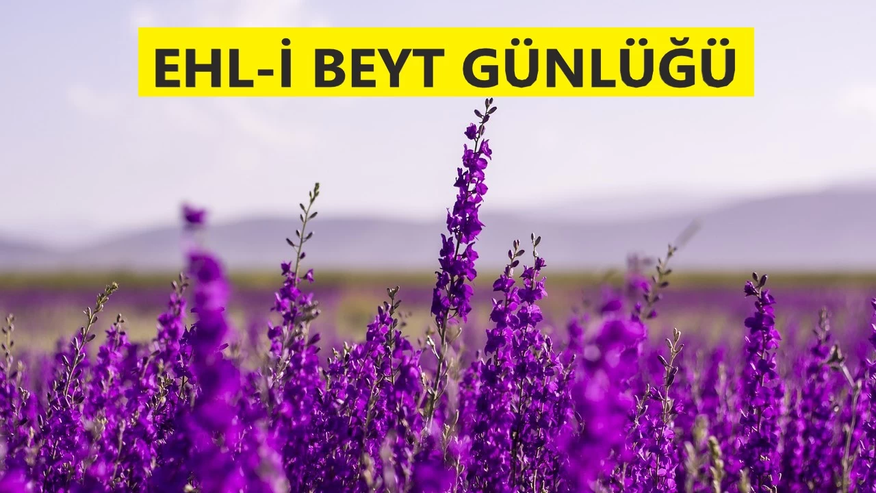 Soruların cevapları imamların yanındadır
