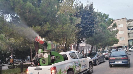 Sultangazi Belediyesi dantel böceğine karşı teyakkuzda