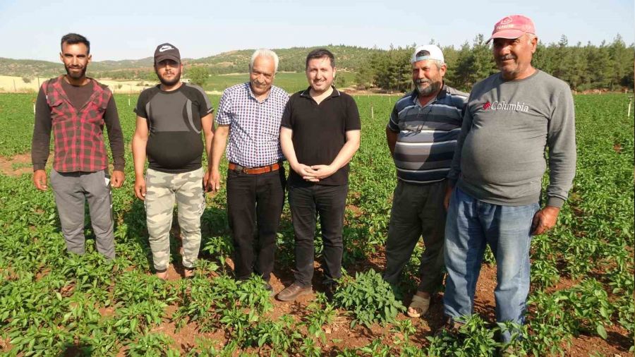 Suya kavuşan köyde arazi fiyatları değerlendi