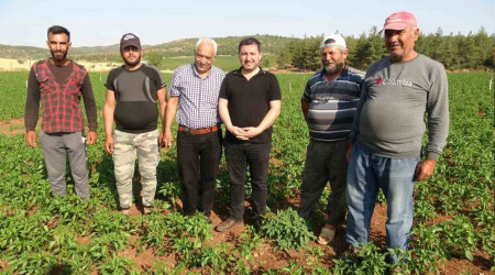 Suya kavuşan köyde arazi fiyatları değerlendi