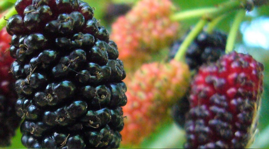 Tam bir sa�l�k deposu