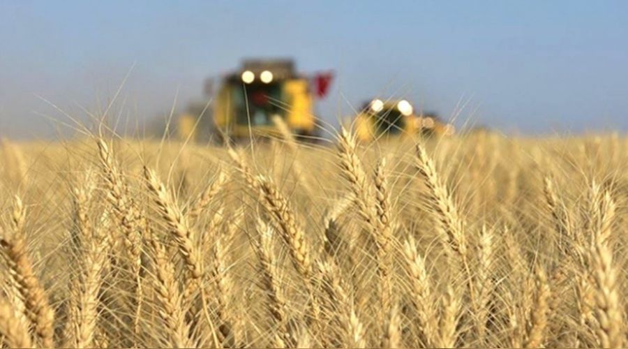 Tarımda maliyetler yüzde 27,79 arttı