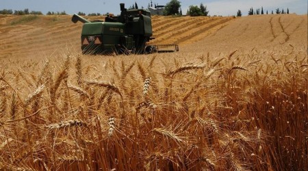 Tarımda üretim uyarısı