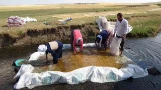 "Tarladan değirmene"