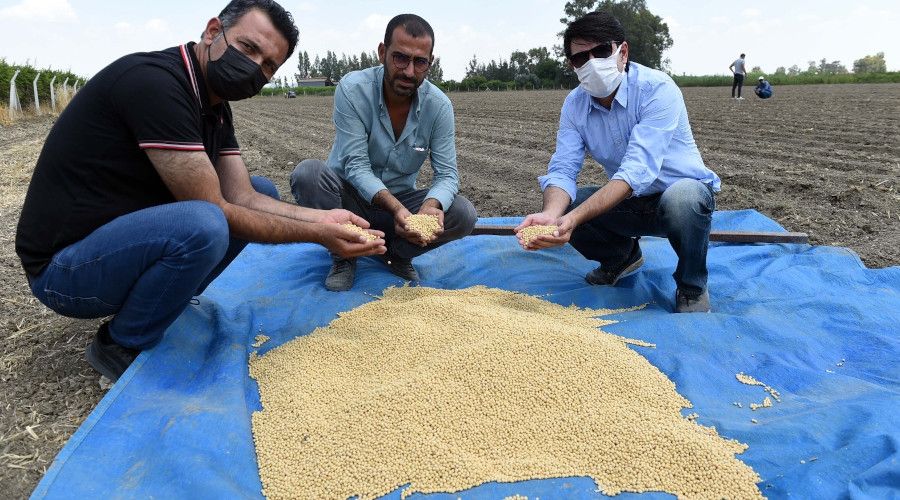 Tarsus Belediyesi, bu kez de yerli tohumla soya fasulyesi ekti