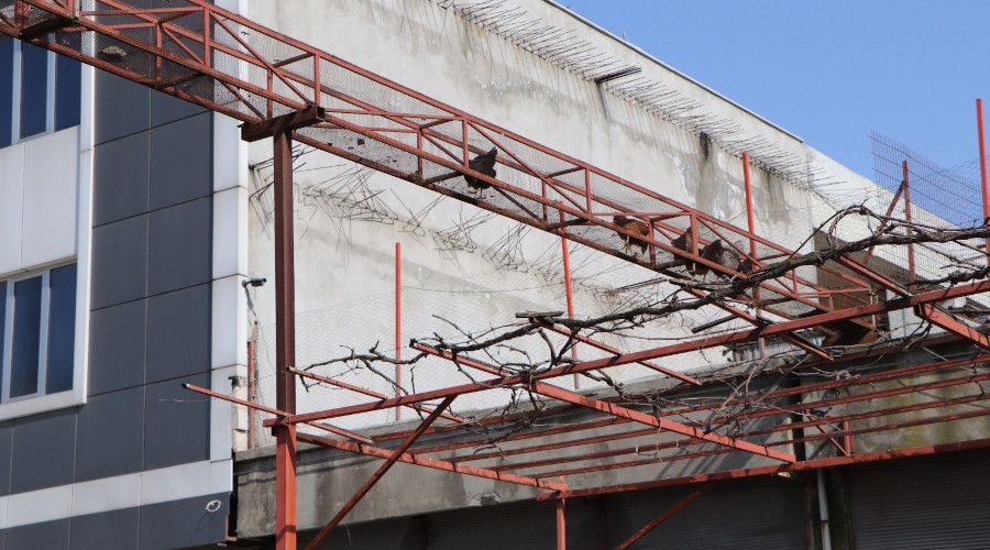 Tavuklar� i�in �st ge�it yapt�