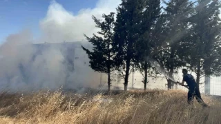 Tekirda'da korkutan yangn