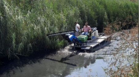 Tekirdağ'da yağmur sineği operasyonu