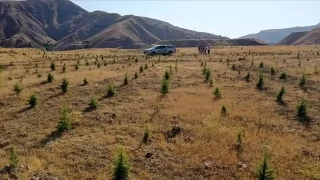 Terk edilmi maden sahalarnn ekolojik yeniden douu
