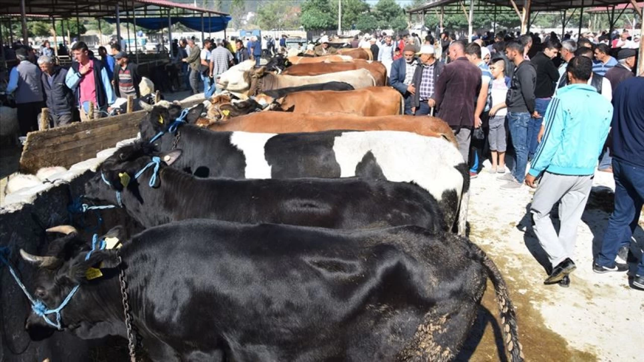 TESK Ba�kan� Paland�ken: Fiyatlardaki art�� sahte para riskini de do�rudan artt�r�yor