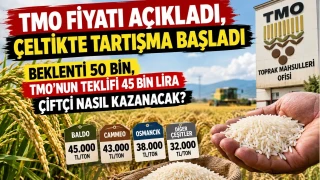 TMO F�YATI A�IKLADI, �ELT�KTE TARTI�MA BA�LADI