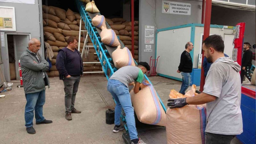 TMO'nun fındık alımları 31 Aralık tarihine kadar devam edecek