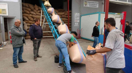 TMO'nun fındık alımları 31 Aralık tarihine kadar devam edecek